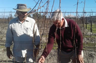 Jan Boland visits the Plett Winelands