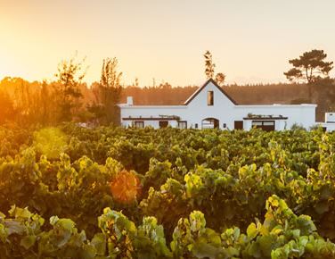 Wine estates with guest accommodation in Plettenberg Bay 