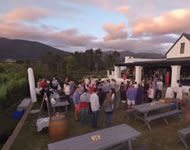 Plett wine farms feature in the new Plett Summer Video